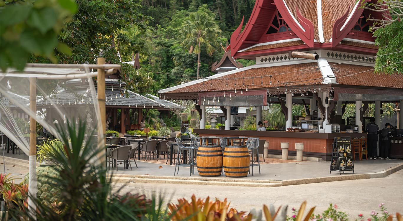 Crocodile Bar & Grill bar in Phuket