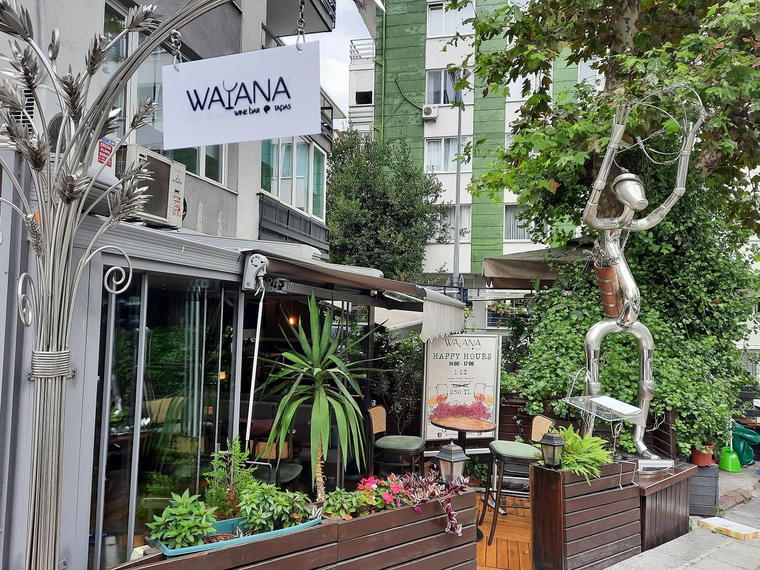 Wayana Wine Bar & Tapas, Istanbul, Turkey