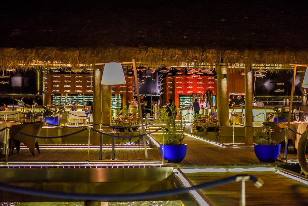 Cru Lounge bar in Noonu Atoll