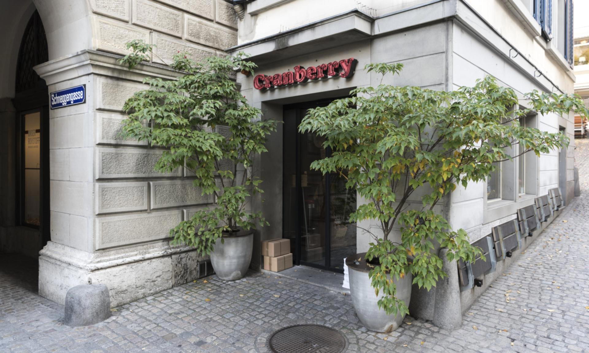 Cranberry Bar bar in Zürich