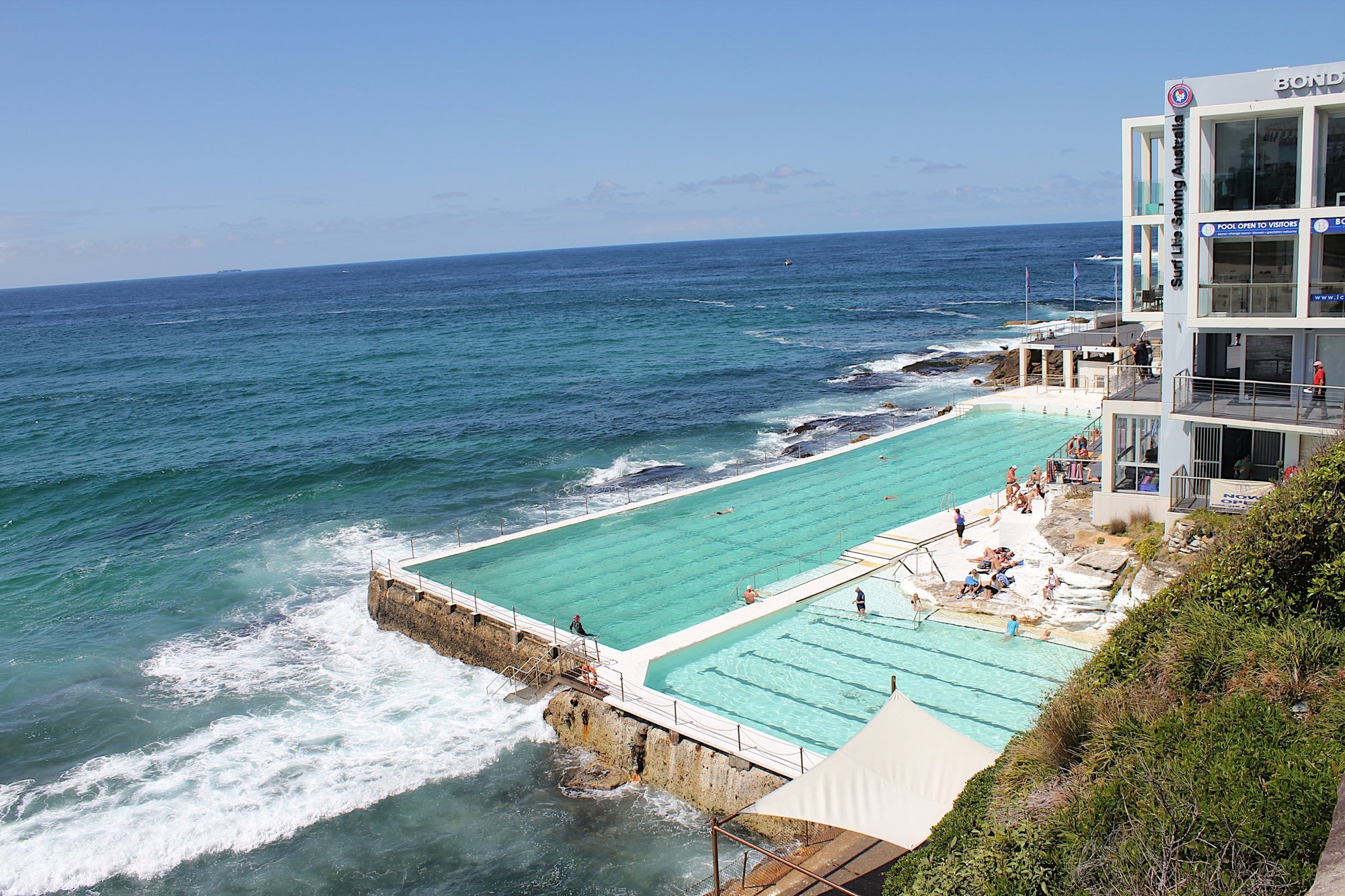 Bondi Icebergs Swimming CLUB