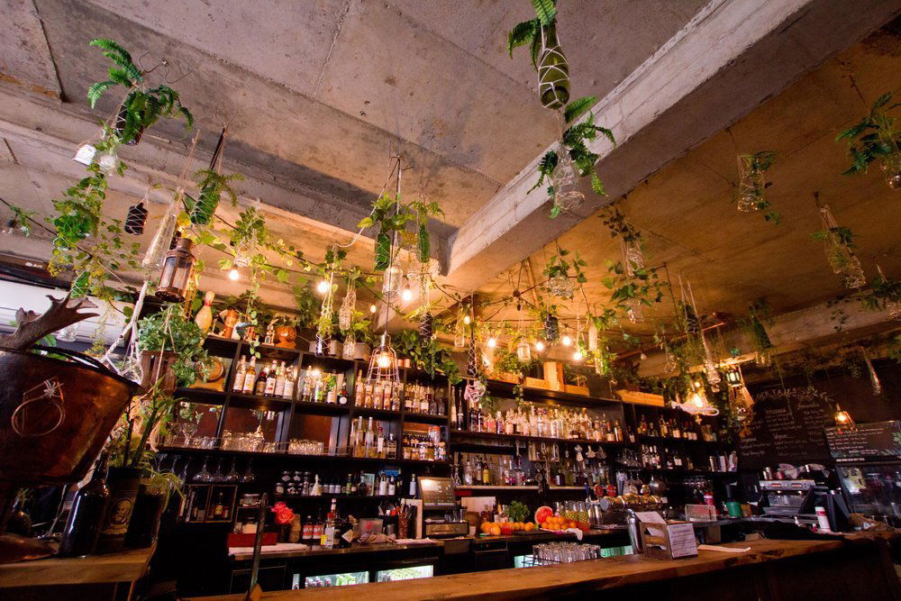 Bakers Lane, Bar in Launceston