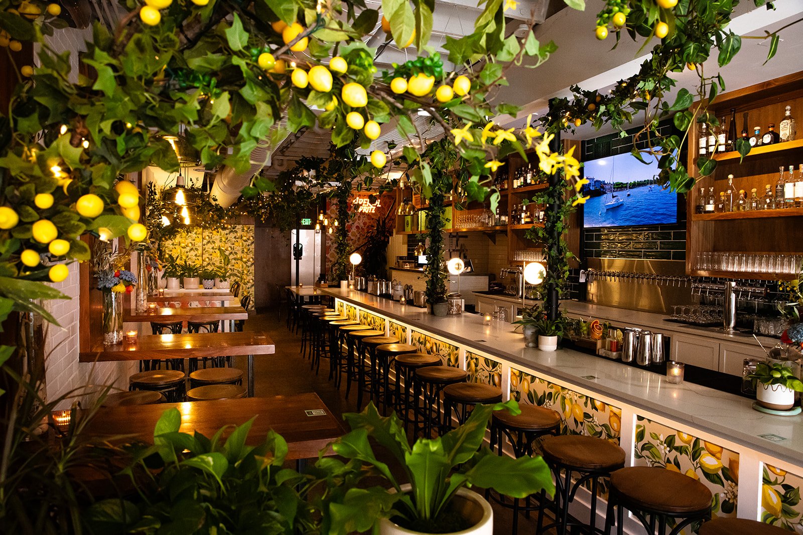 Pop Wine Bar bar in Saskatoon, Canada