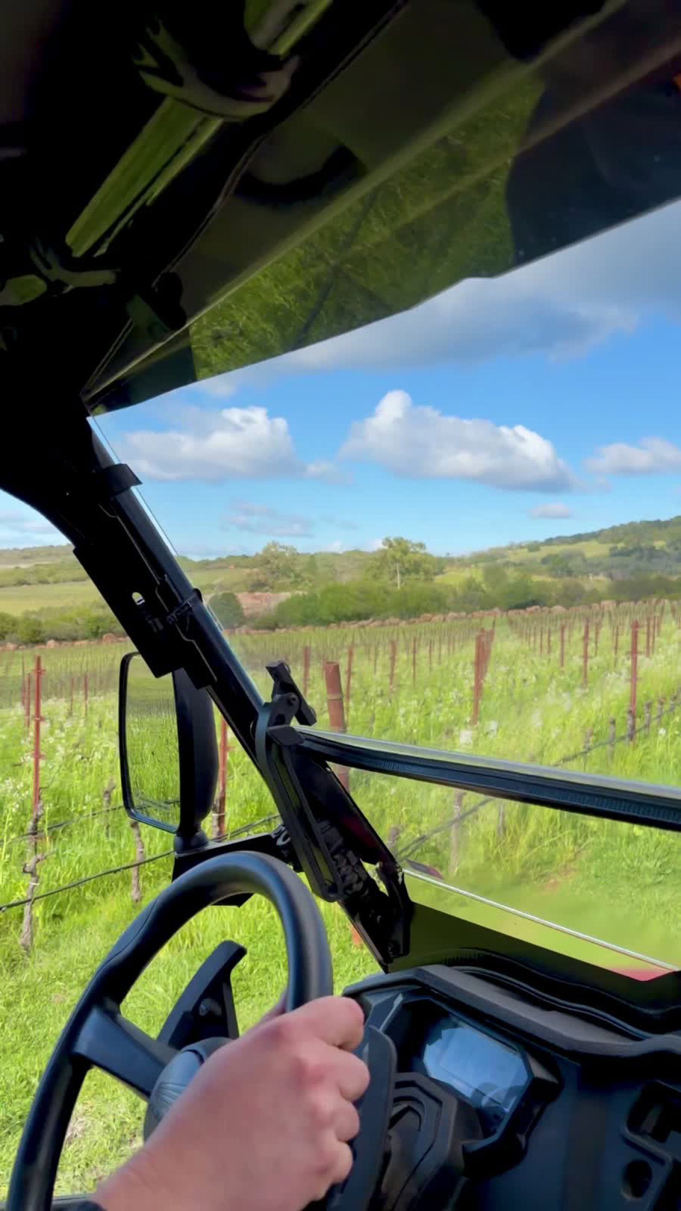 View from an ATV driving through vineyard rows at Continuum Estate on Sage Mountain