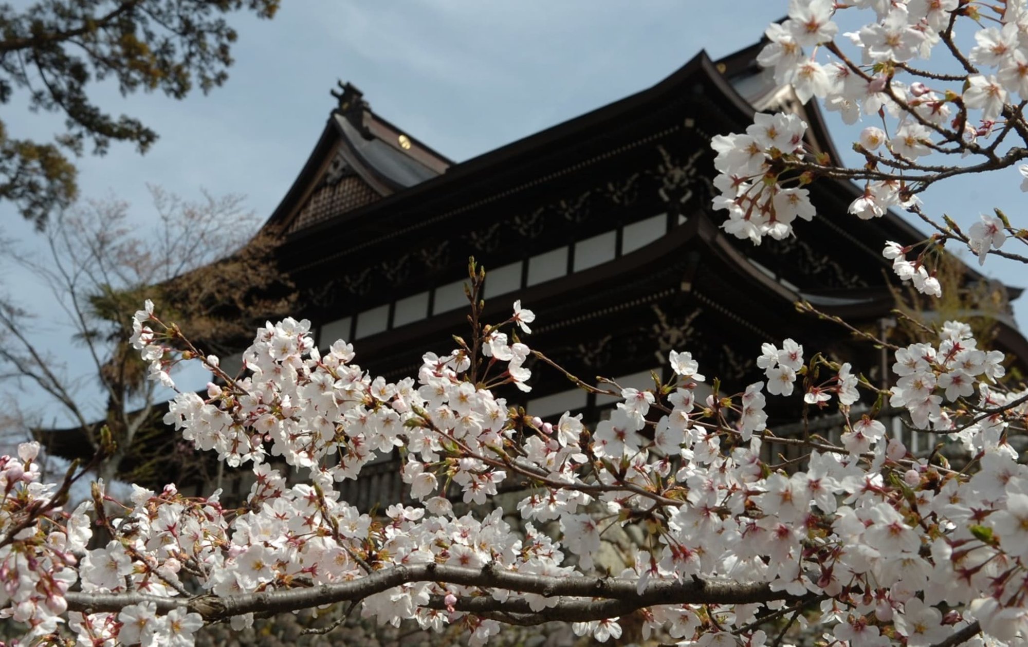 Seki, Japan