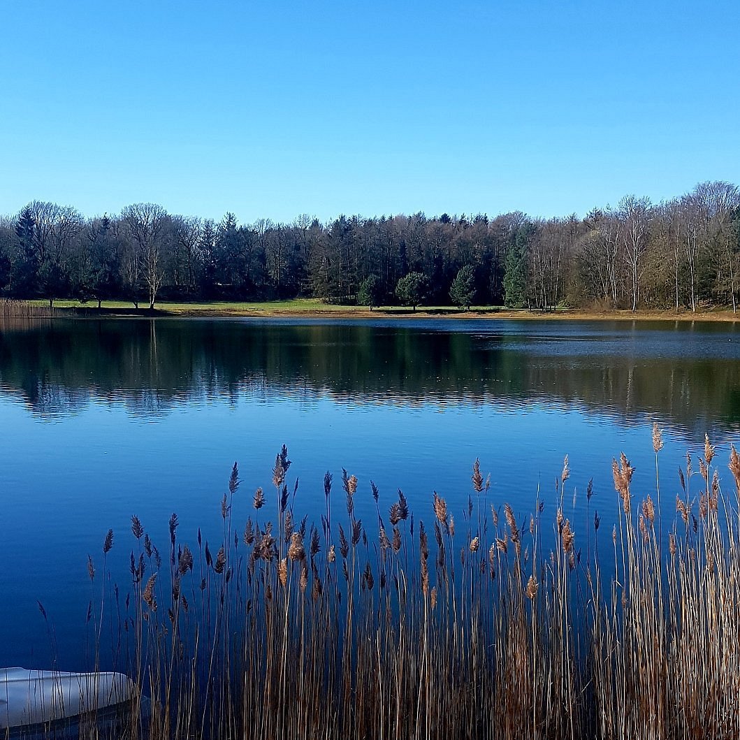 Wiefelstede, Germany