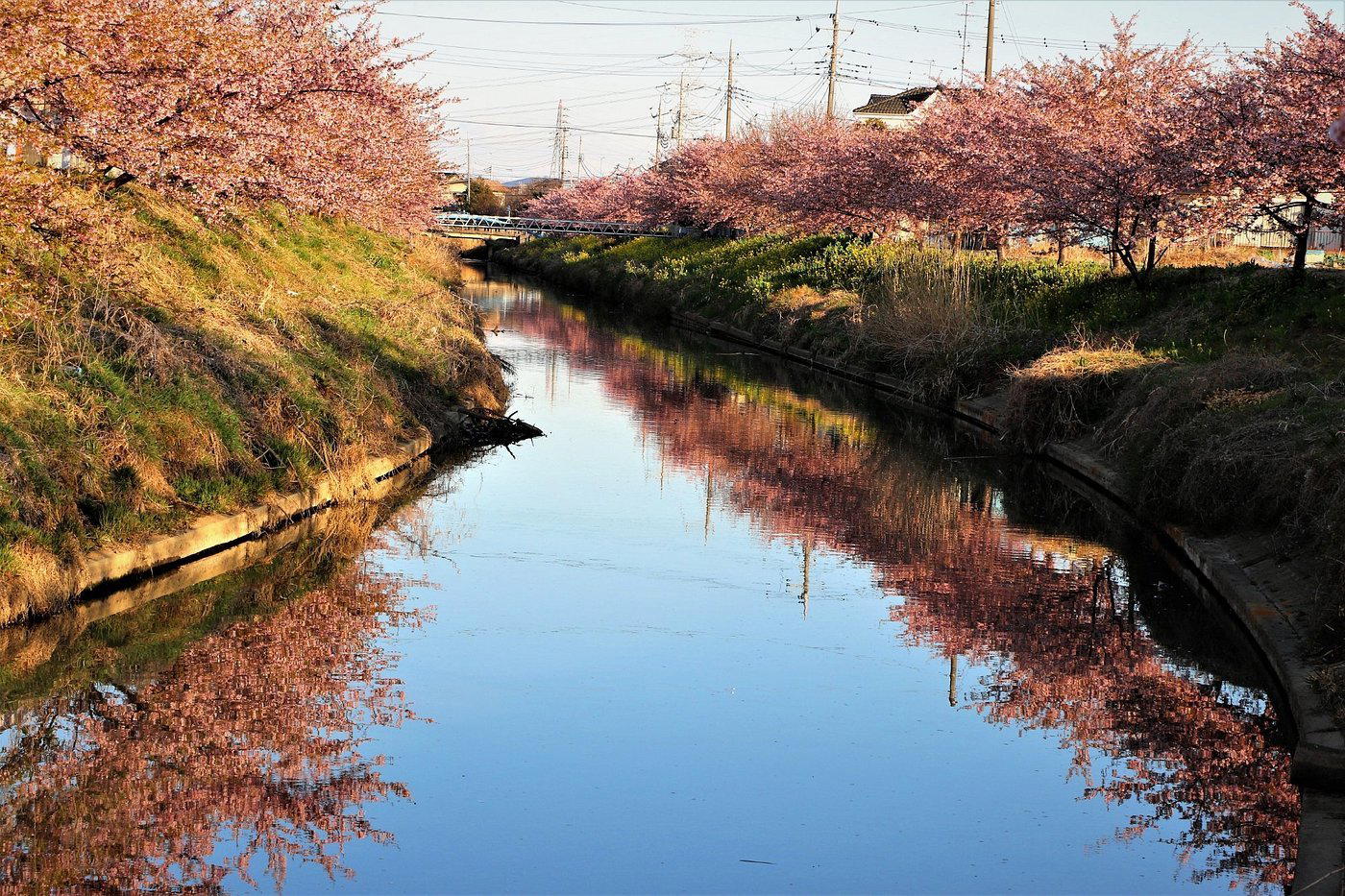 Kuki, Japan