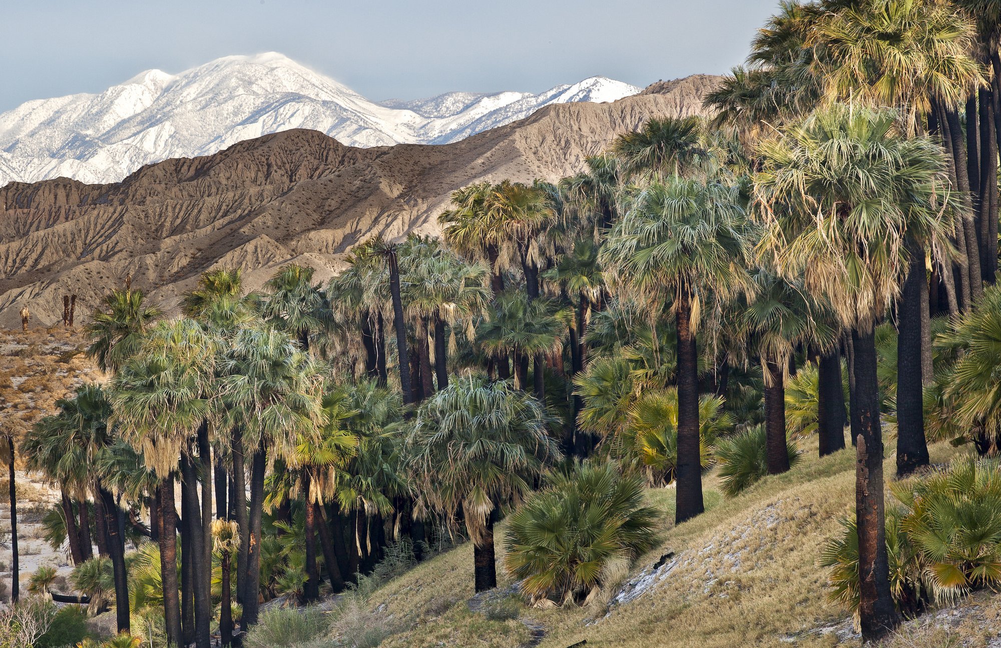 Thousand Palms, United States