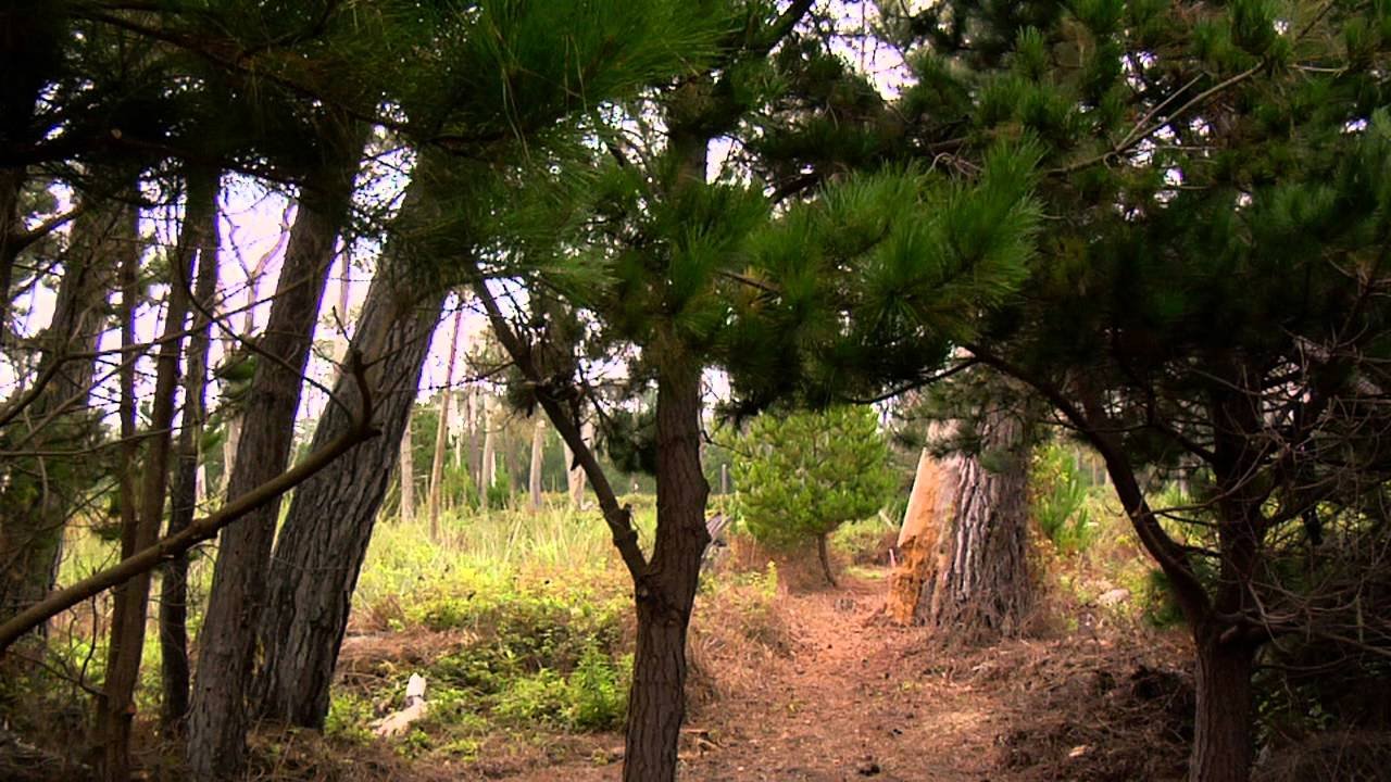 Del Monte Forest, United States