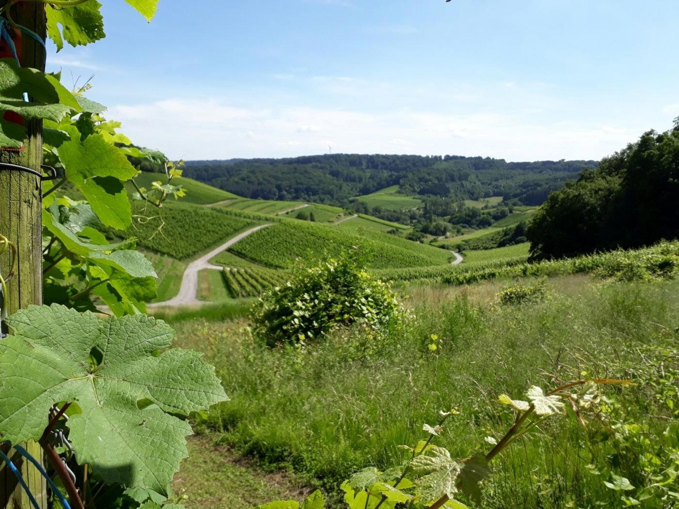 Elvange, Luxembourg