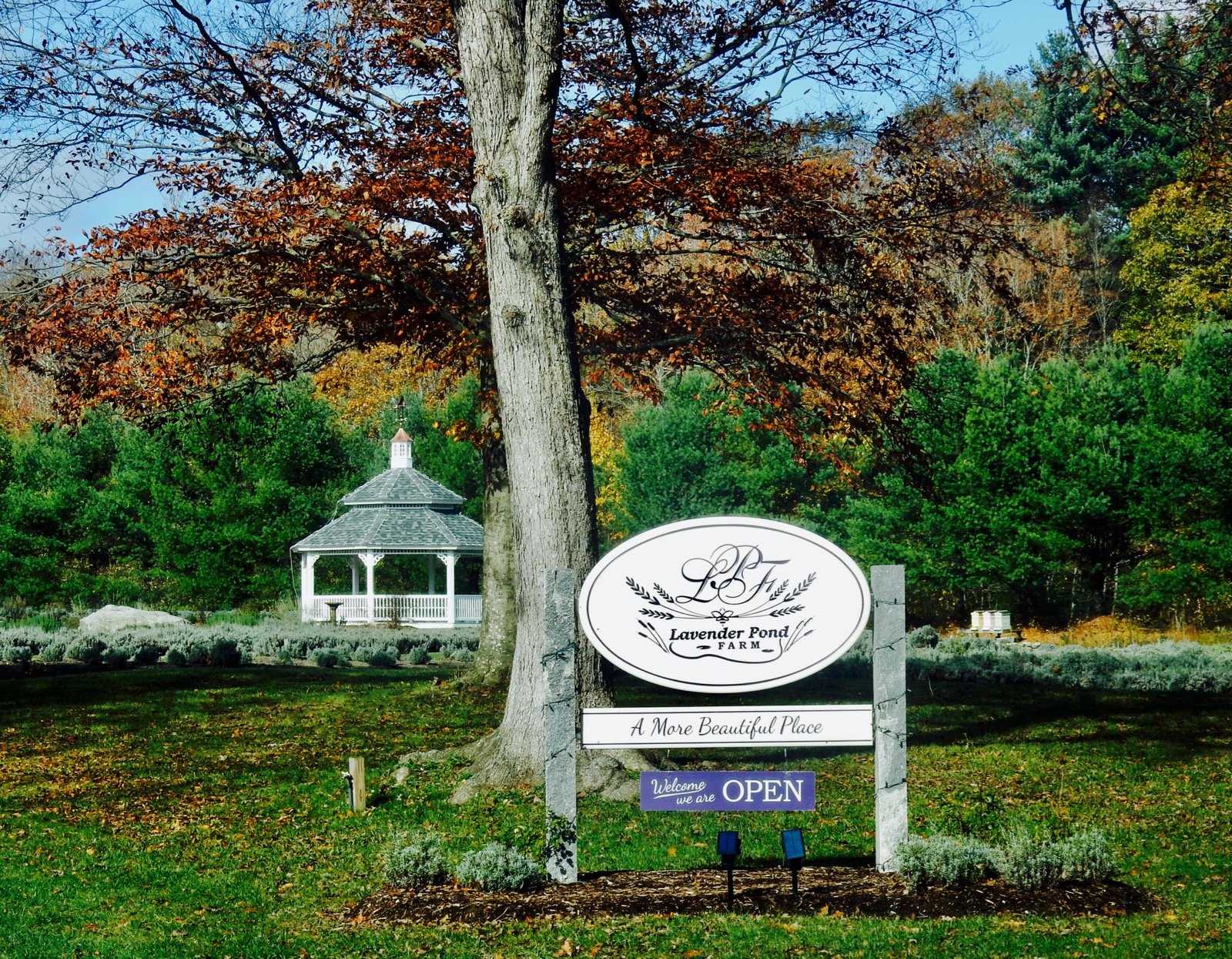 Killingworth, United States