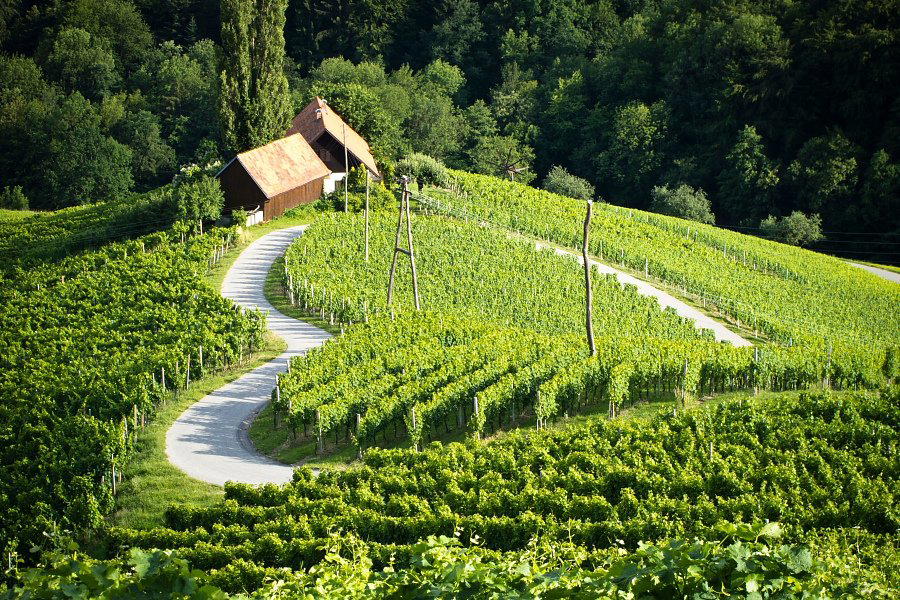 Kungota, Slovenia