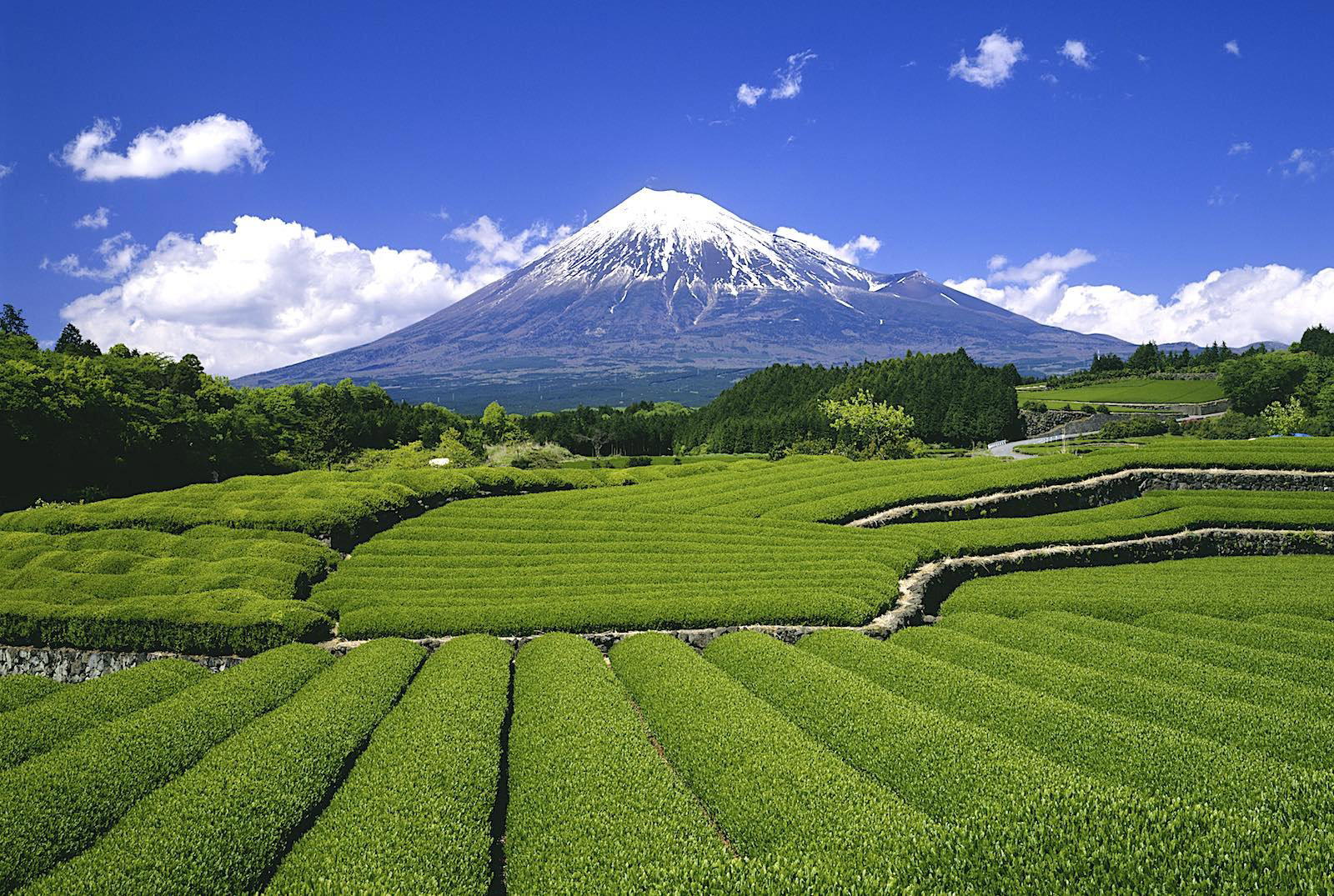 Fukuroi, Japan