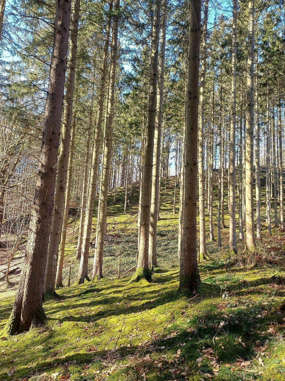 Rendeux, Belgium