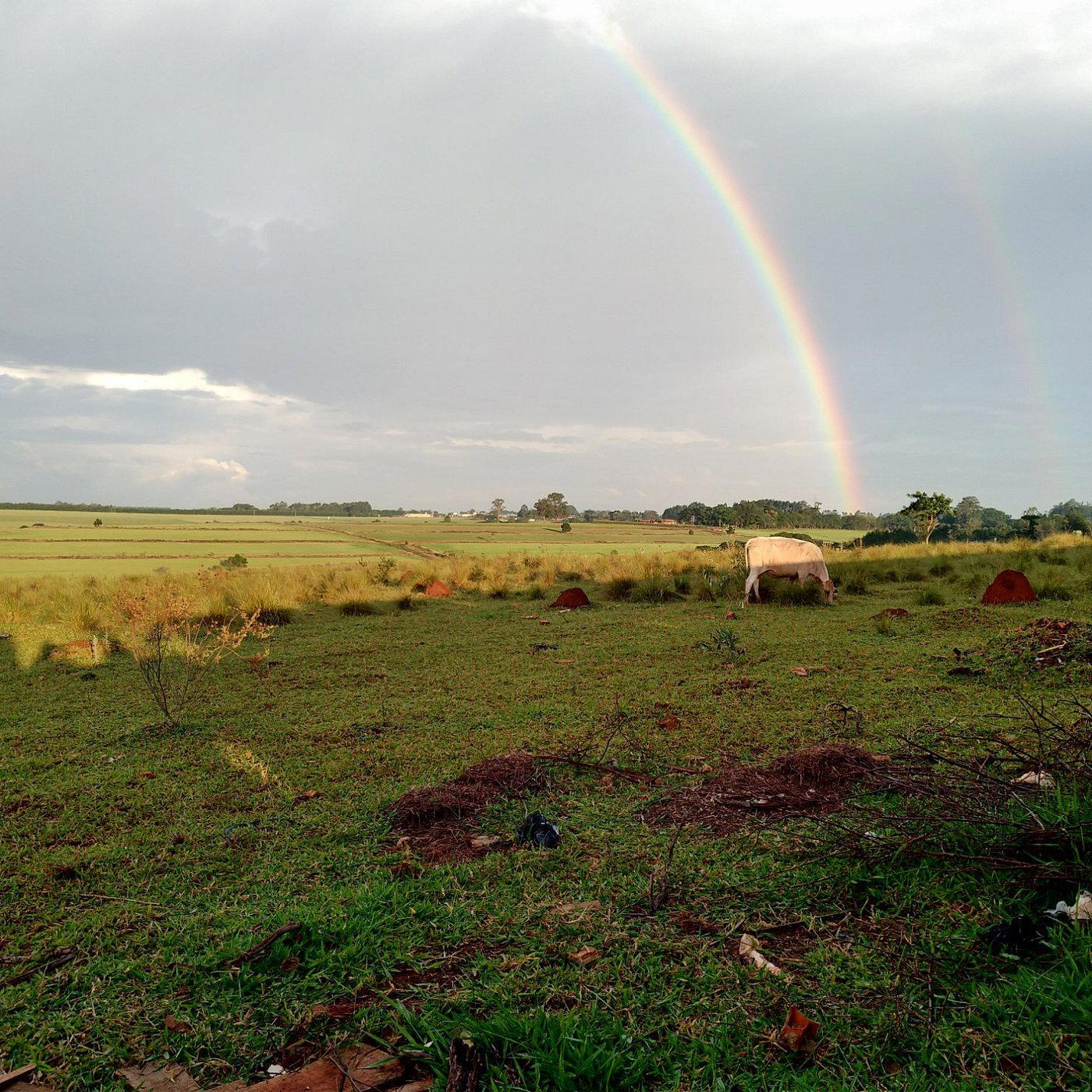 Itapetininga, Brazil