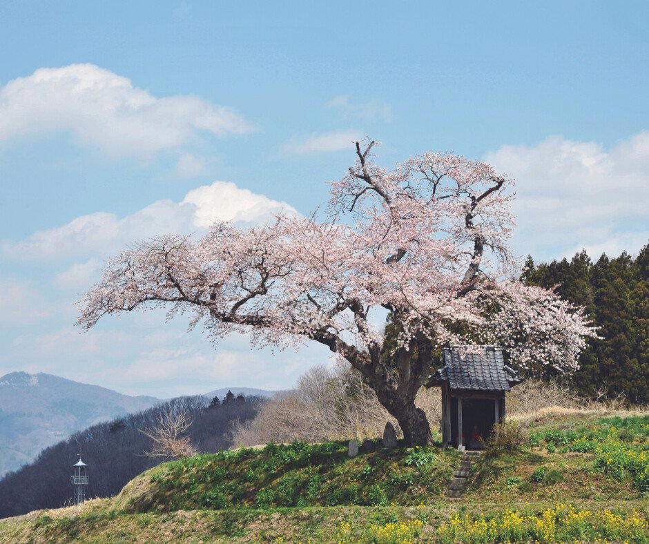 Tamura, Japan