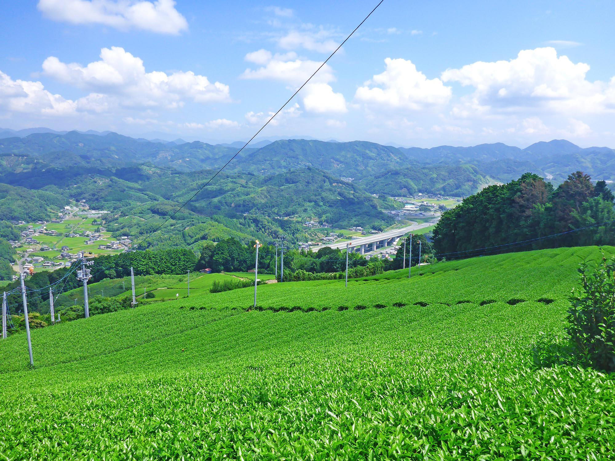 Fujieda, Japan