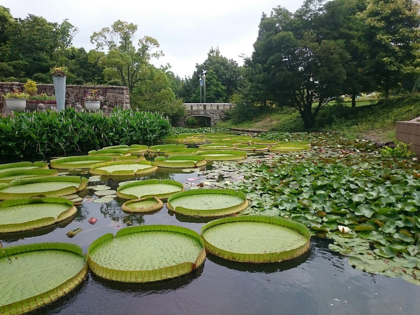 Anjo, Japan
