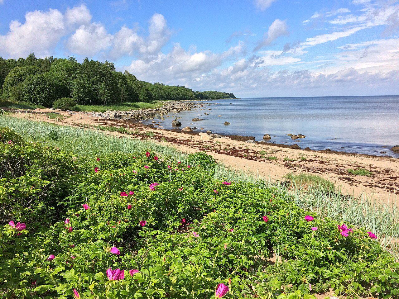 Kuusalu, Estonia