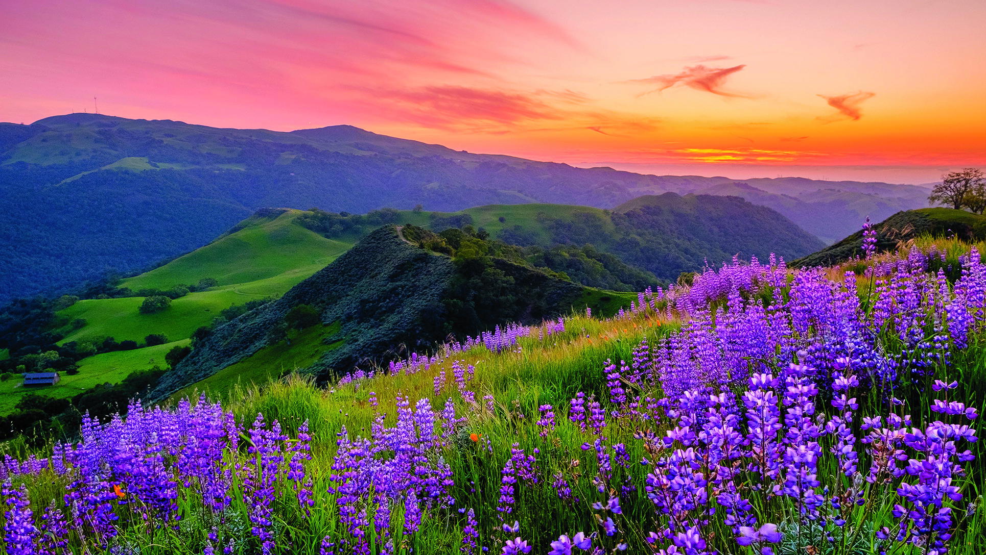 Sunol, United States