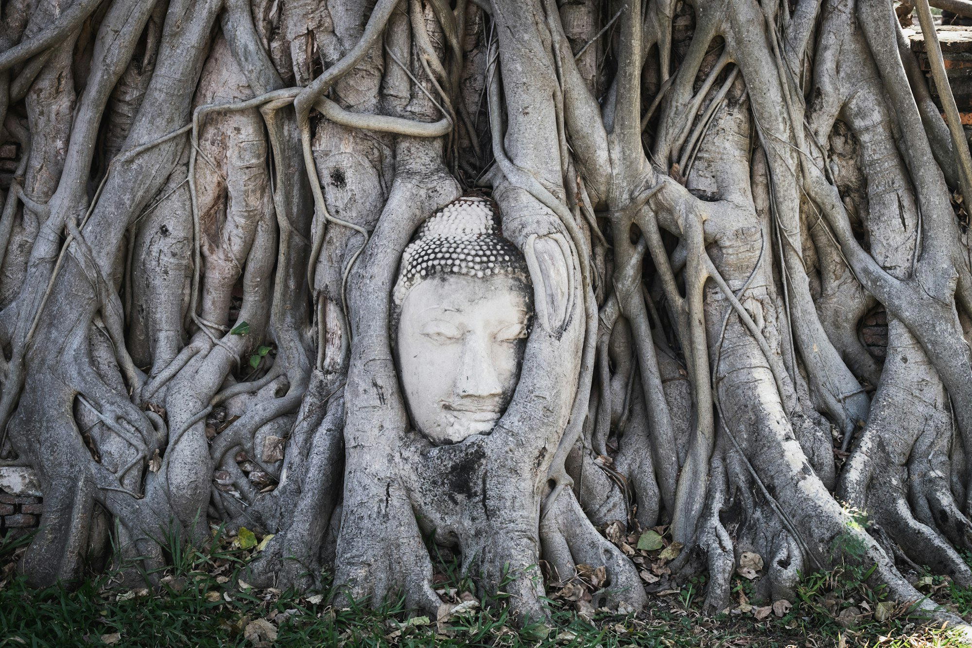 Ayutthaya, Thailand