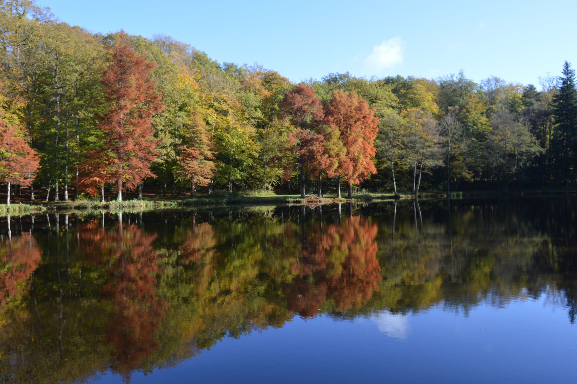 Belforet En Perche, France