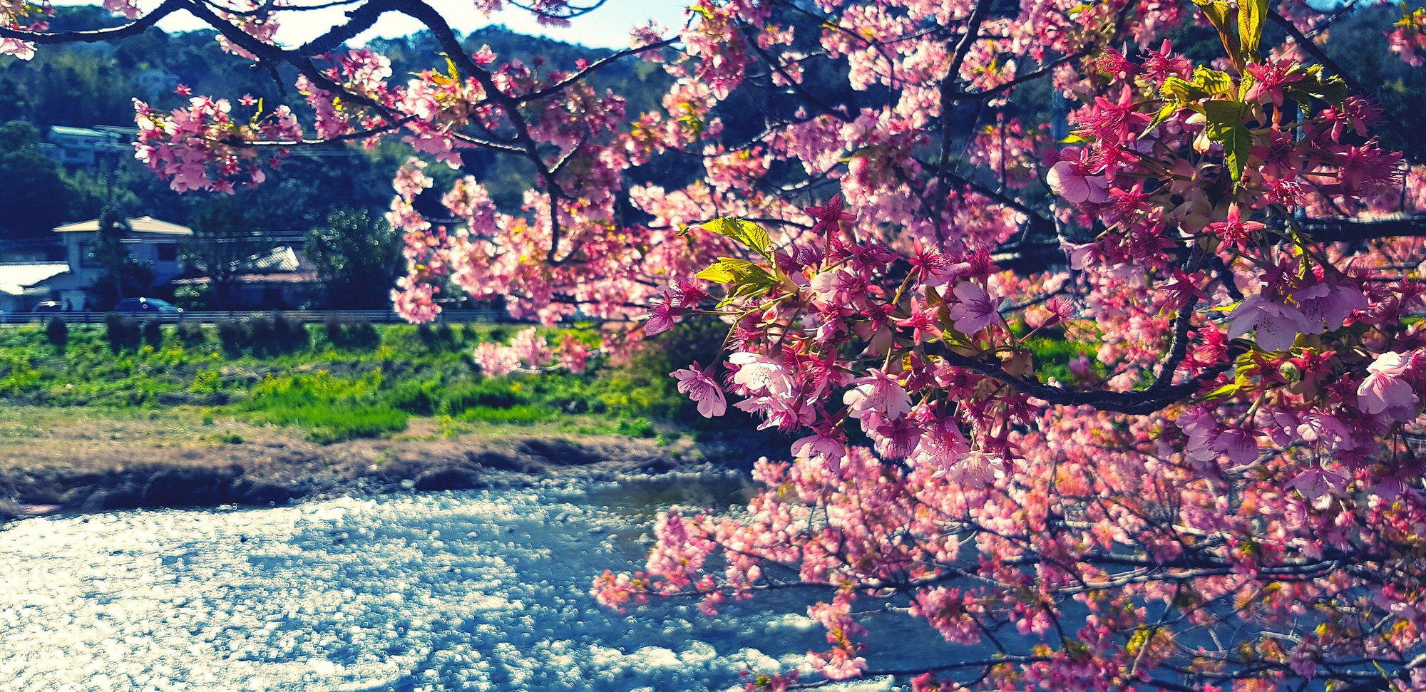 Toride, Japan