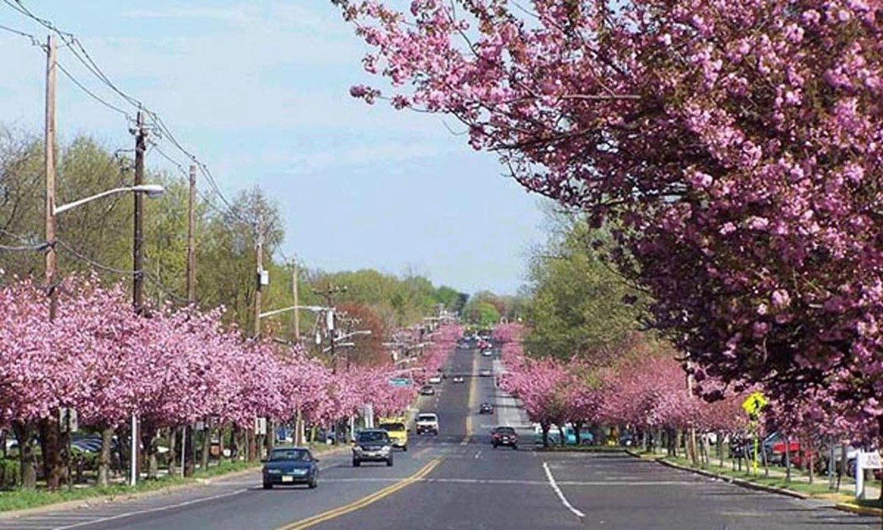 Cherry Hill, United States