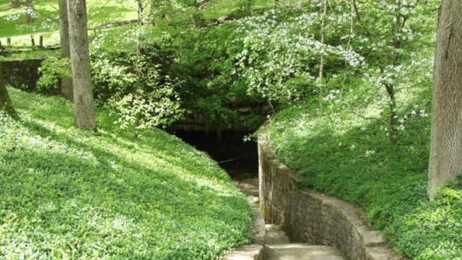 Sinking Spring, United States
