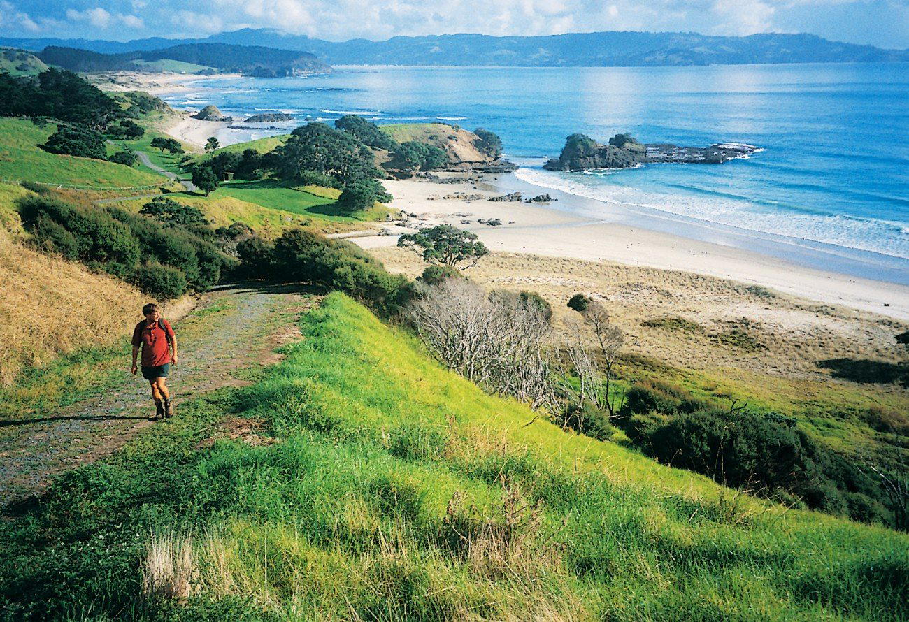 Tawharanui Peninsula, New Zealand