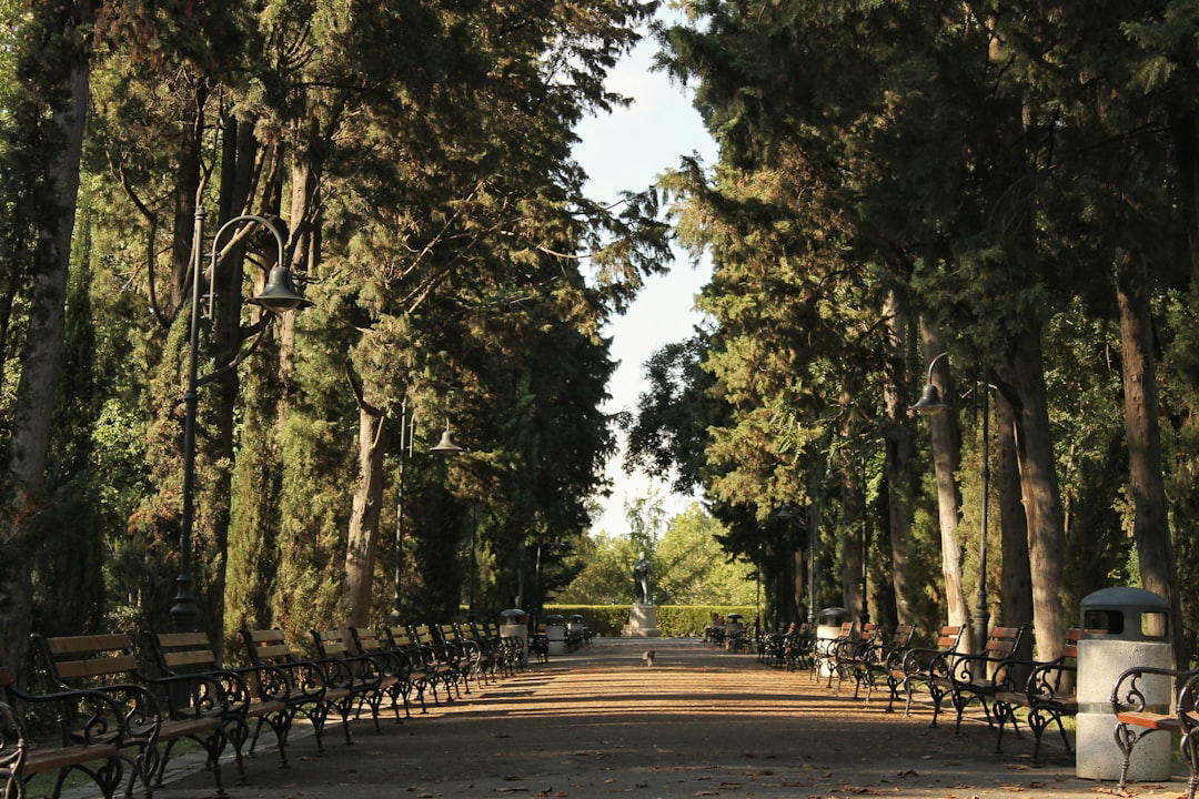 Campo de Criptana, Spain