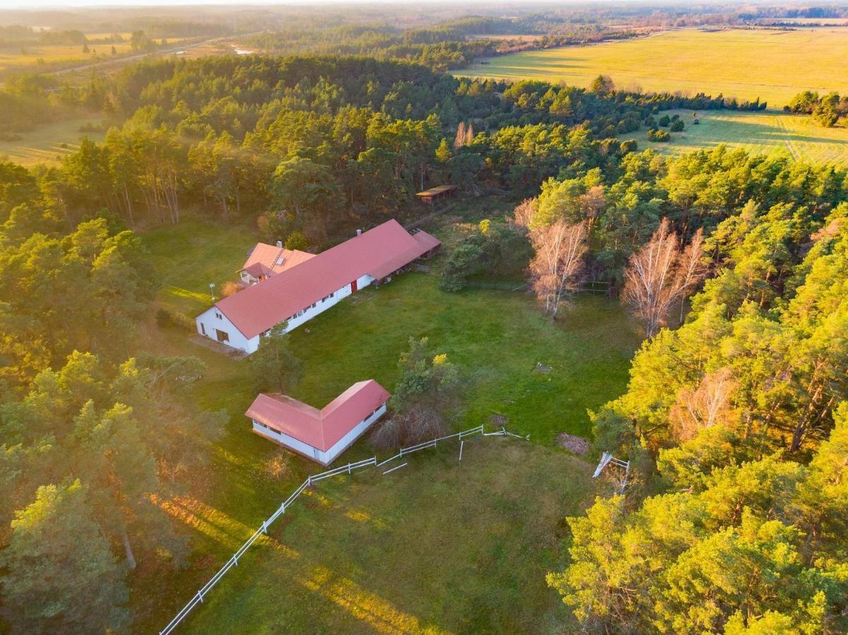 Jogela, Estonia