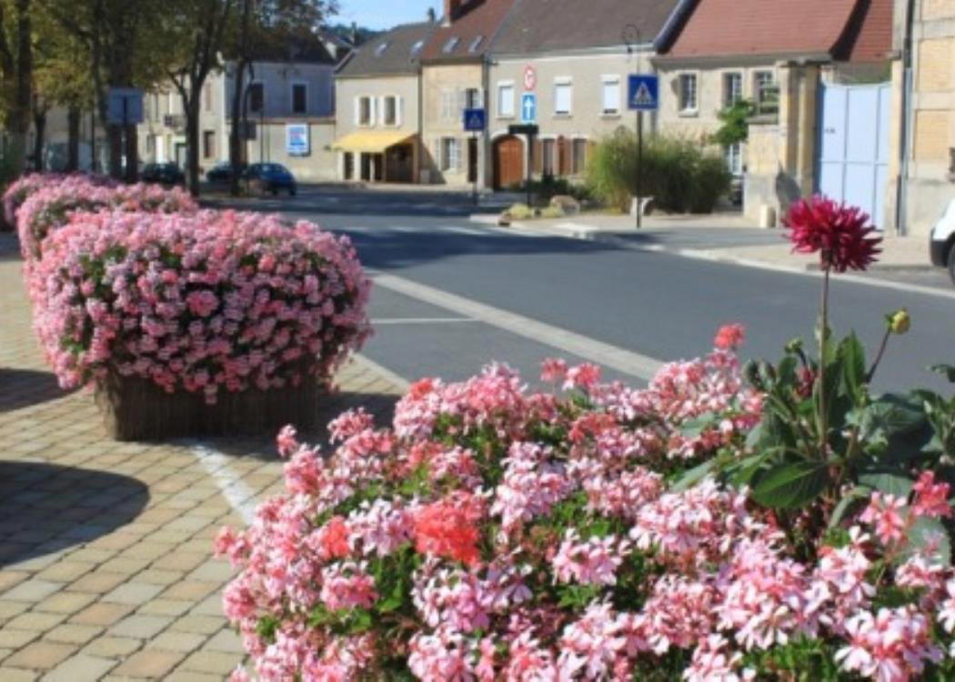 Hermonville, France