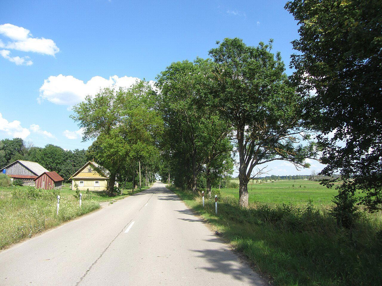 Paliesius, Lithuania