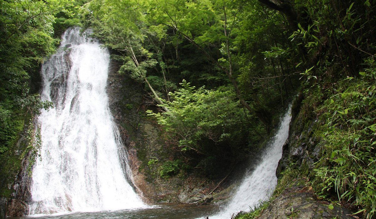 Nishiusuki-gun, Japan
