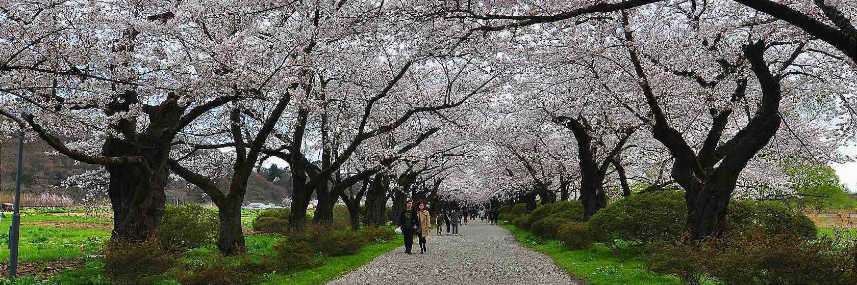 Kitakami, Japan