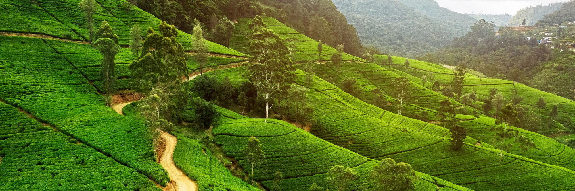 Kandapola, Sri Lanka