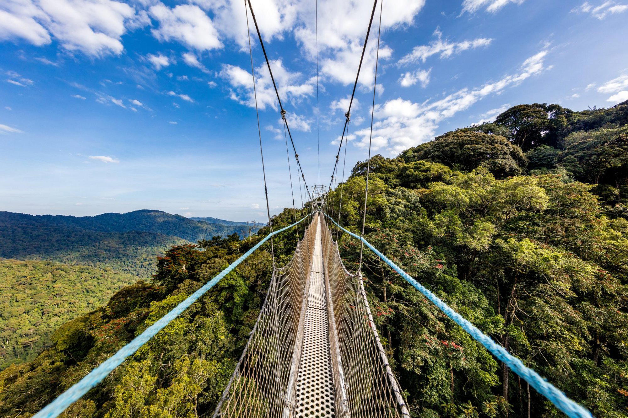Nyungwe, Rwanda