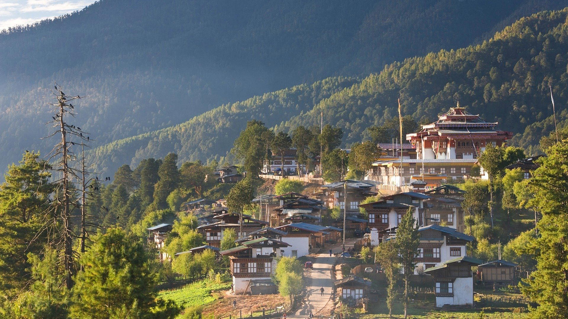 Gangtey Valley, Bhutan