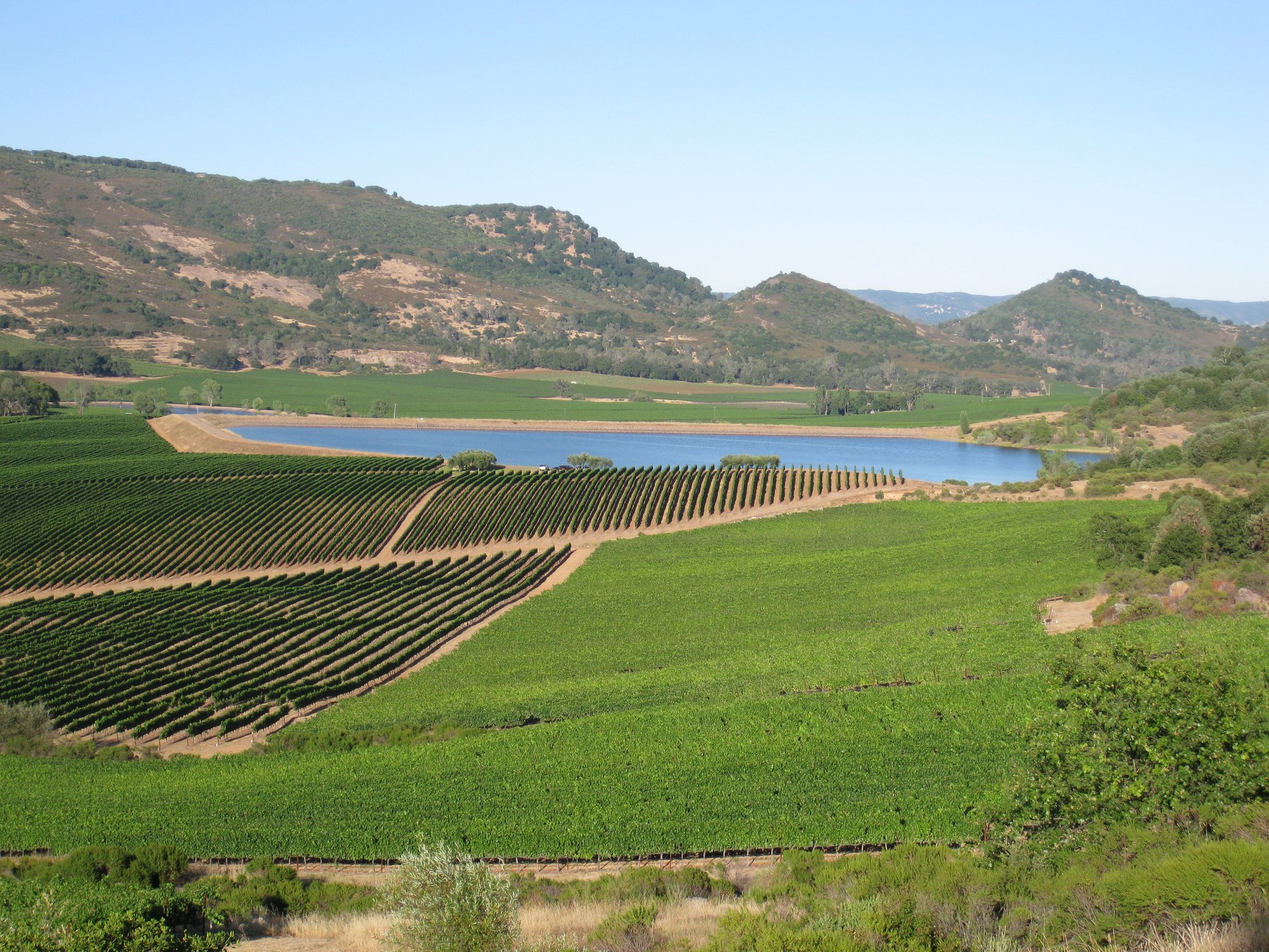 Atlas Peak (Napa), United States