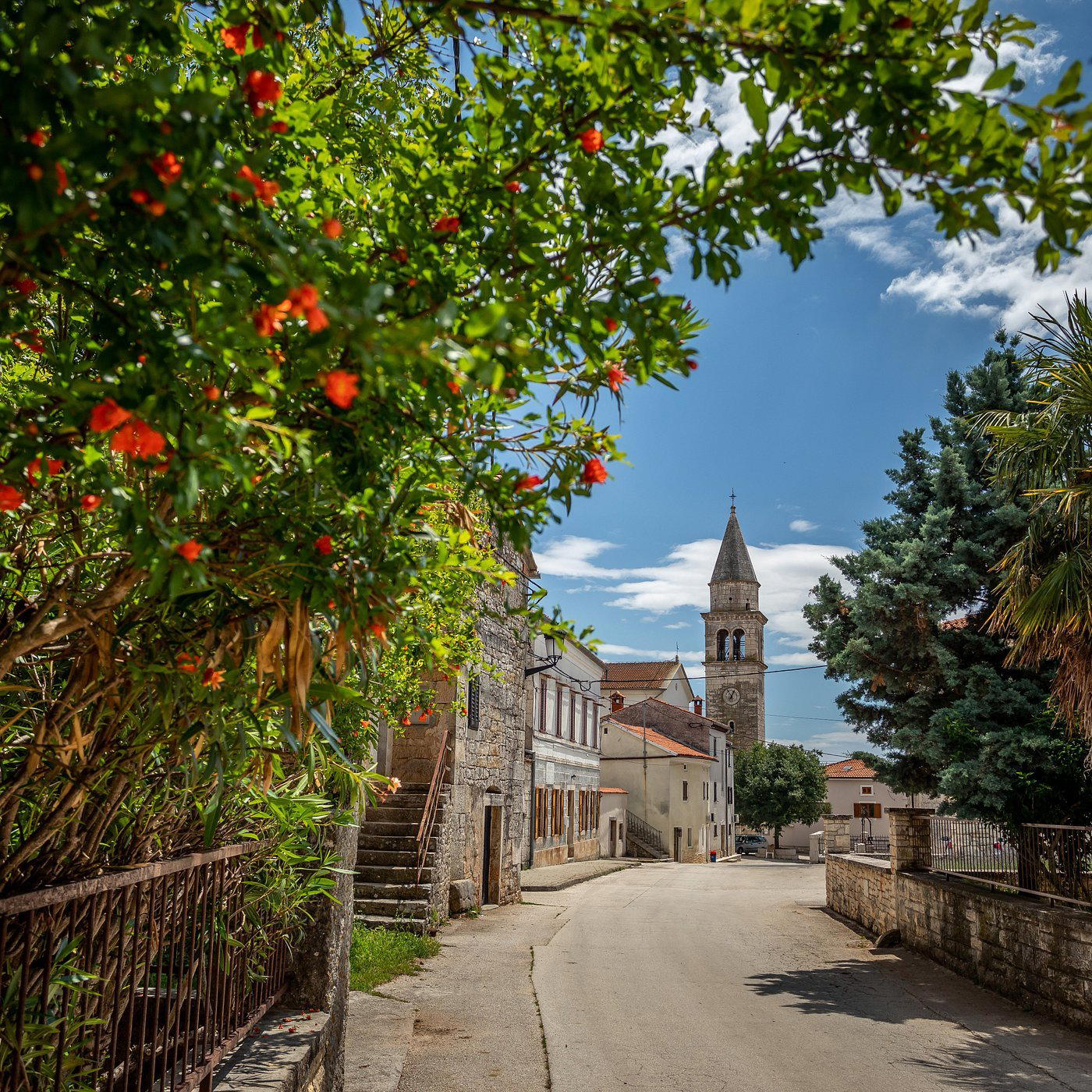 Kringa, Croatia