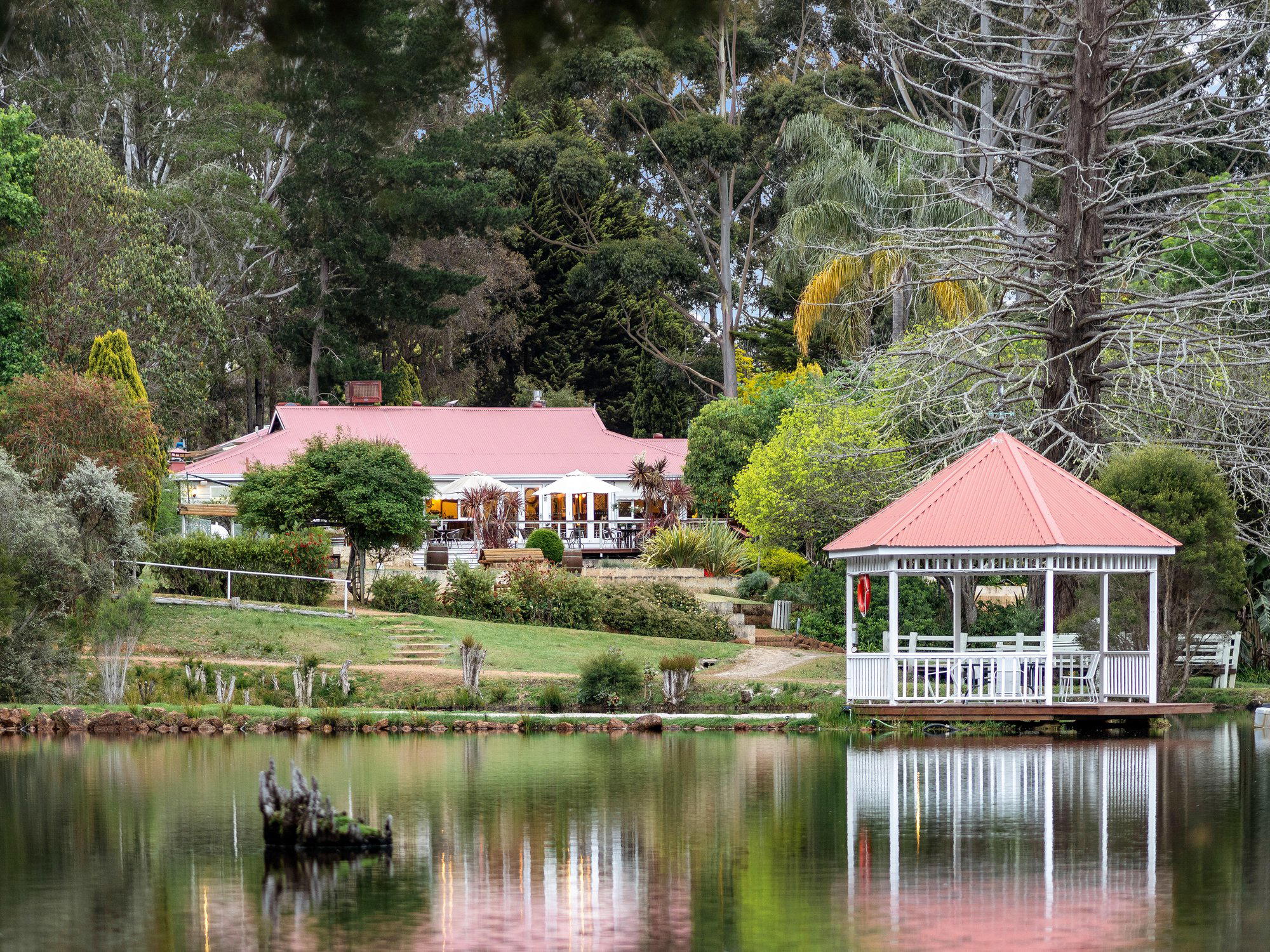 Forest Lodge, Australia