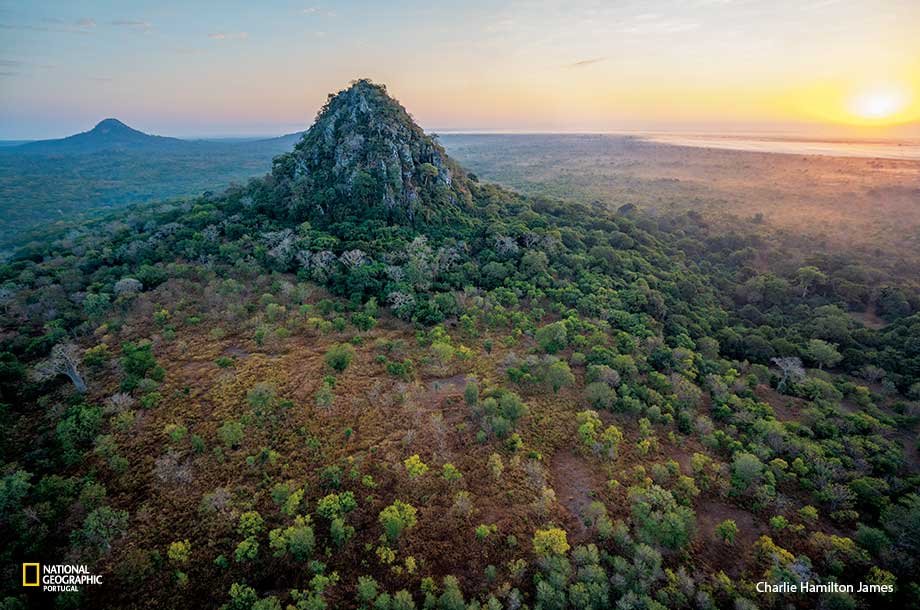 Parque Nacional De Gorongosa, Mozambique