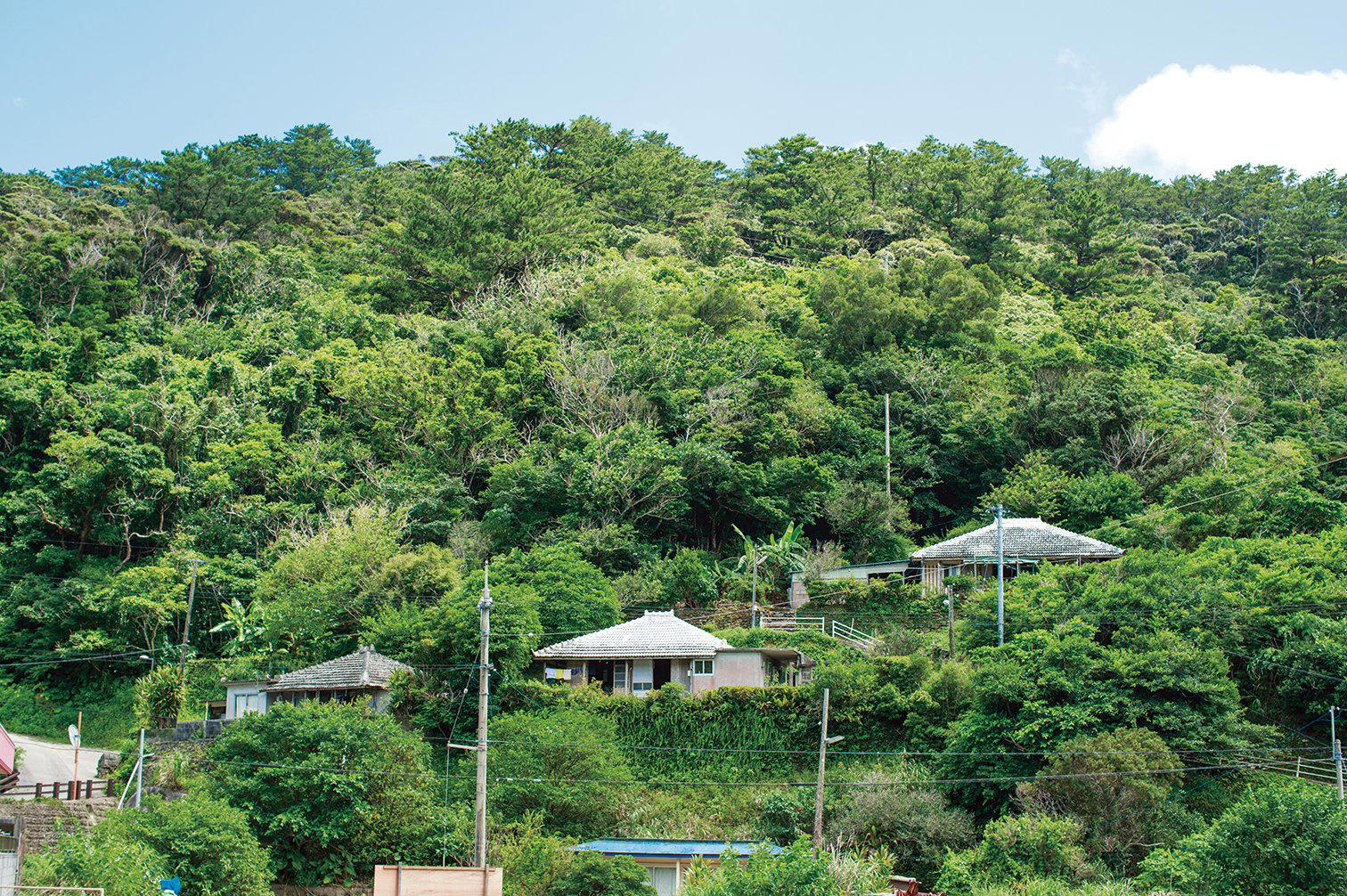 Kunigami District, Japan