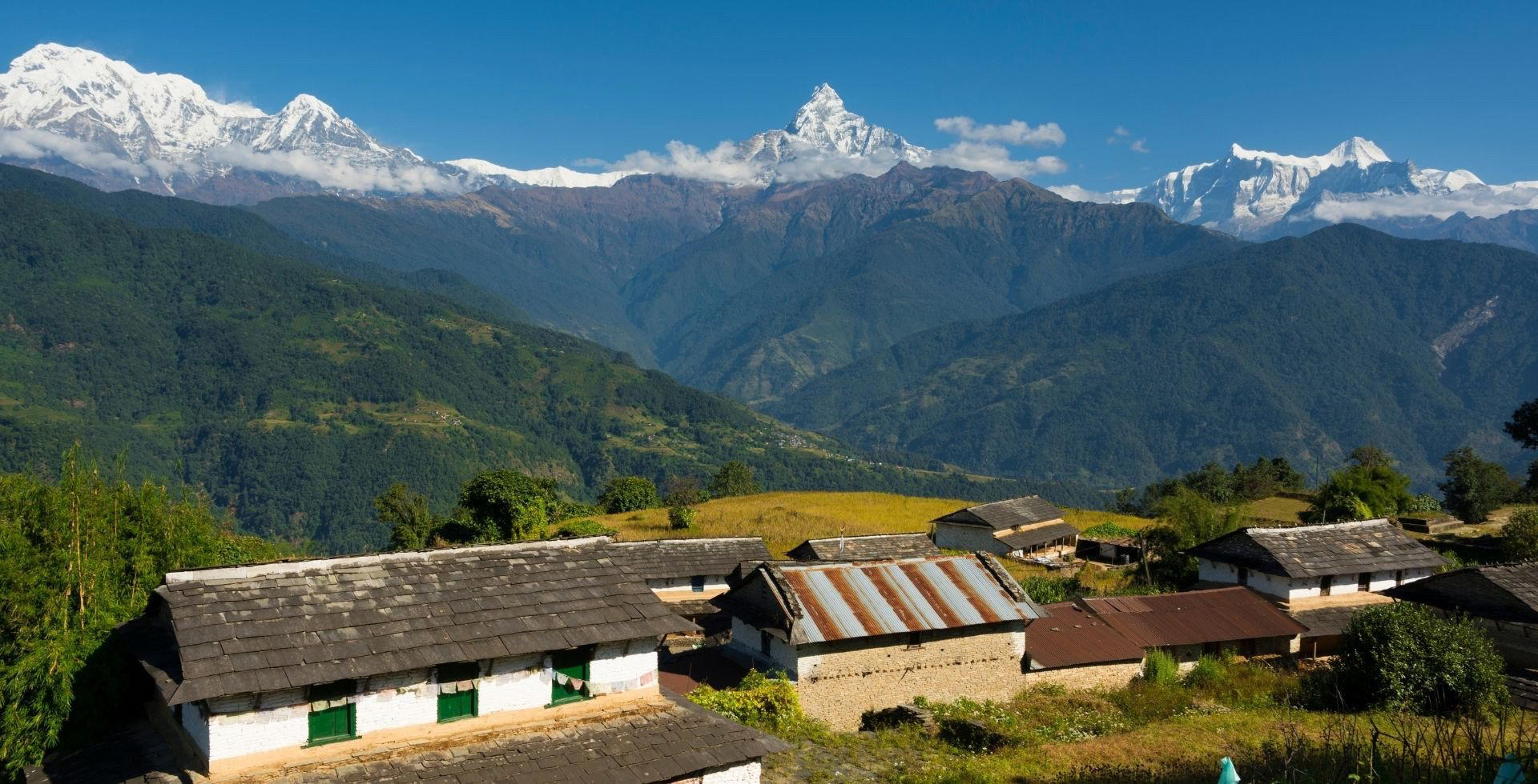 Dhampus Phedi, Nepal