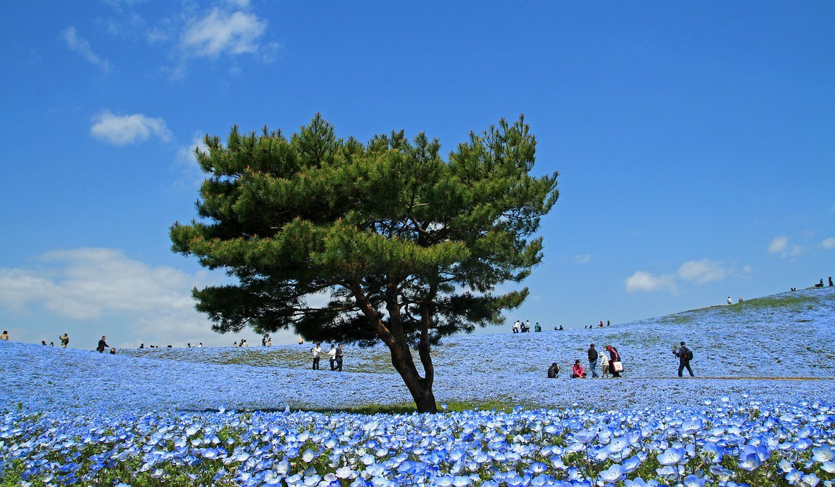 Hitachinaka, Japan