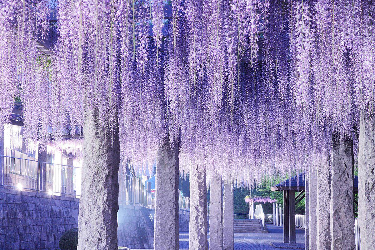 Fujioka, Japan