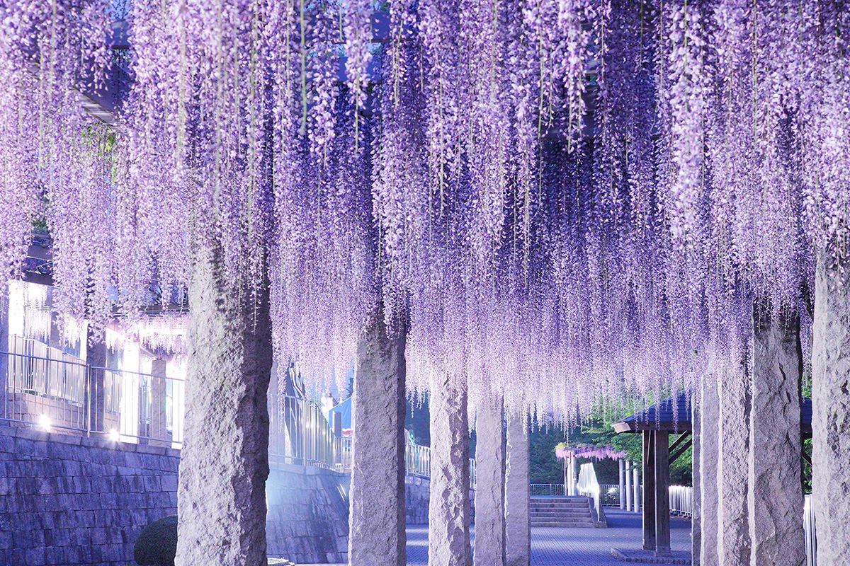 Fujioka, Japan