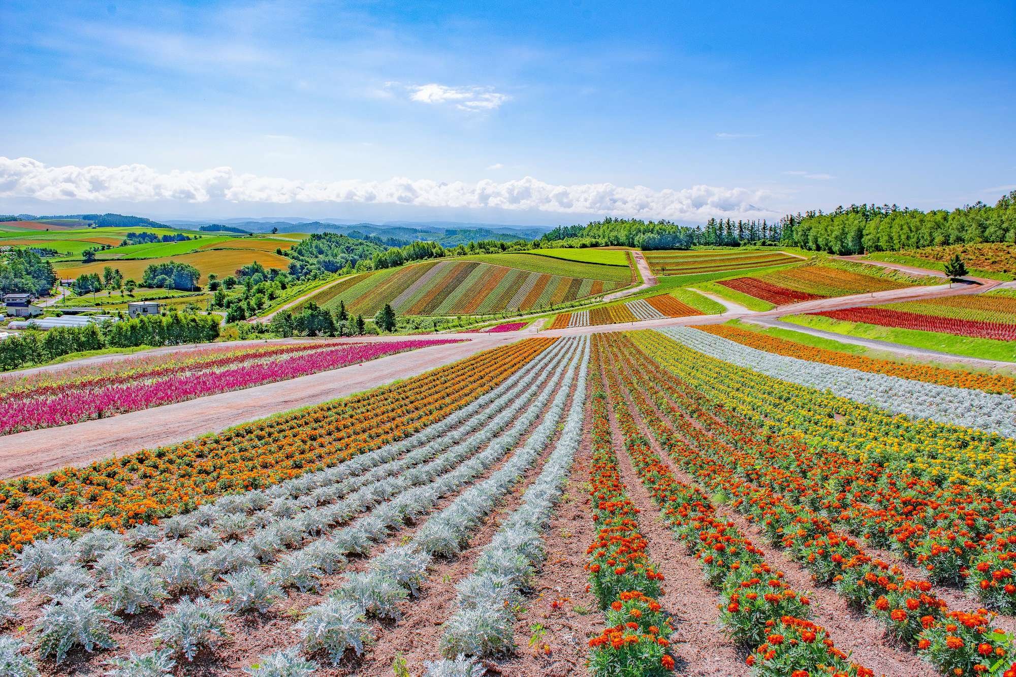 Furano, Japan
