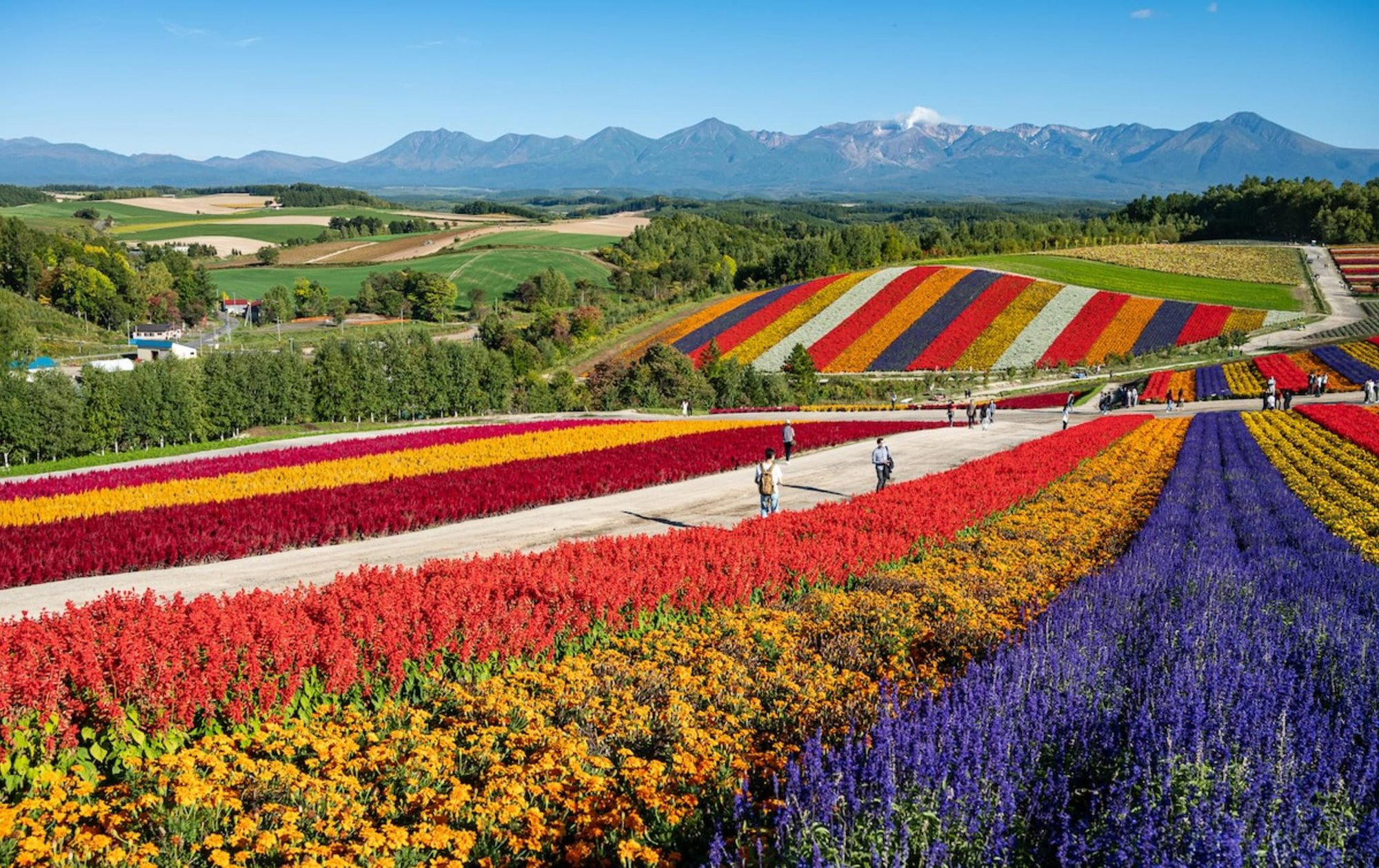 Hokkaido (Biei), Japan